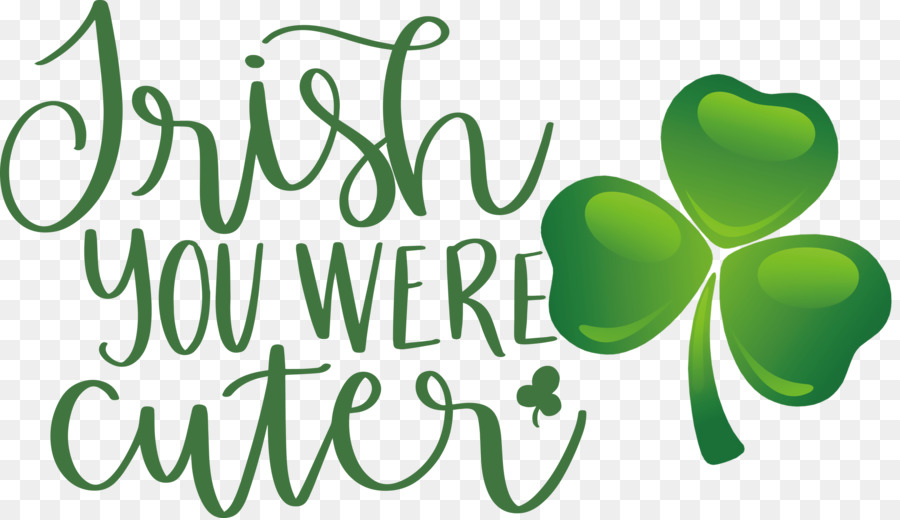 shamrock Irish Saint Patrick's Day