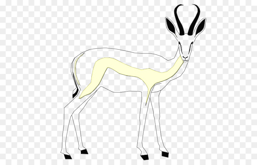 springbok hirsch gazellen linienkunst - 