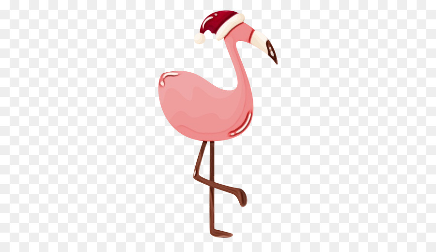 Flamingo - 