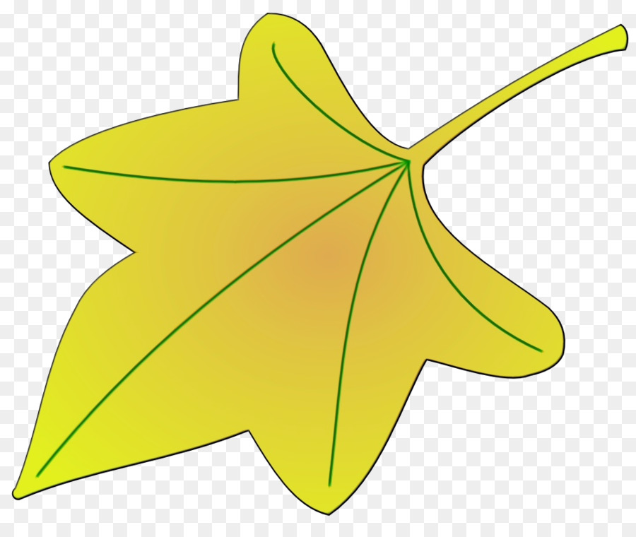 pianta staminali foglia fiore giallo albero - 