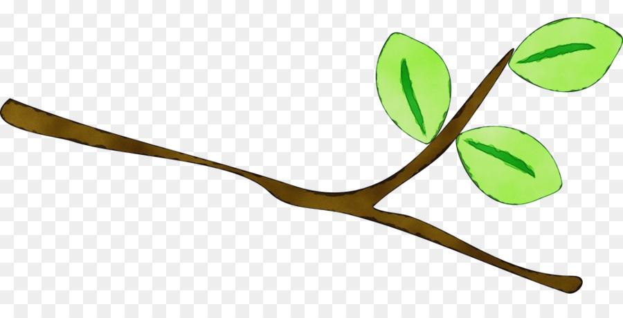 cây lá thân cây phân nhánh - 