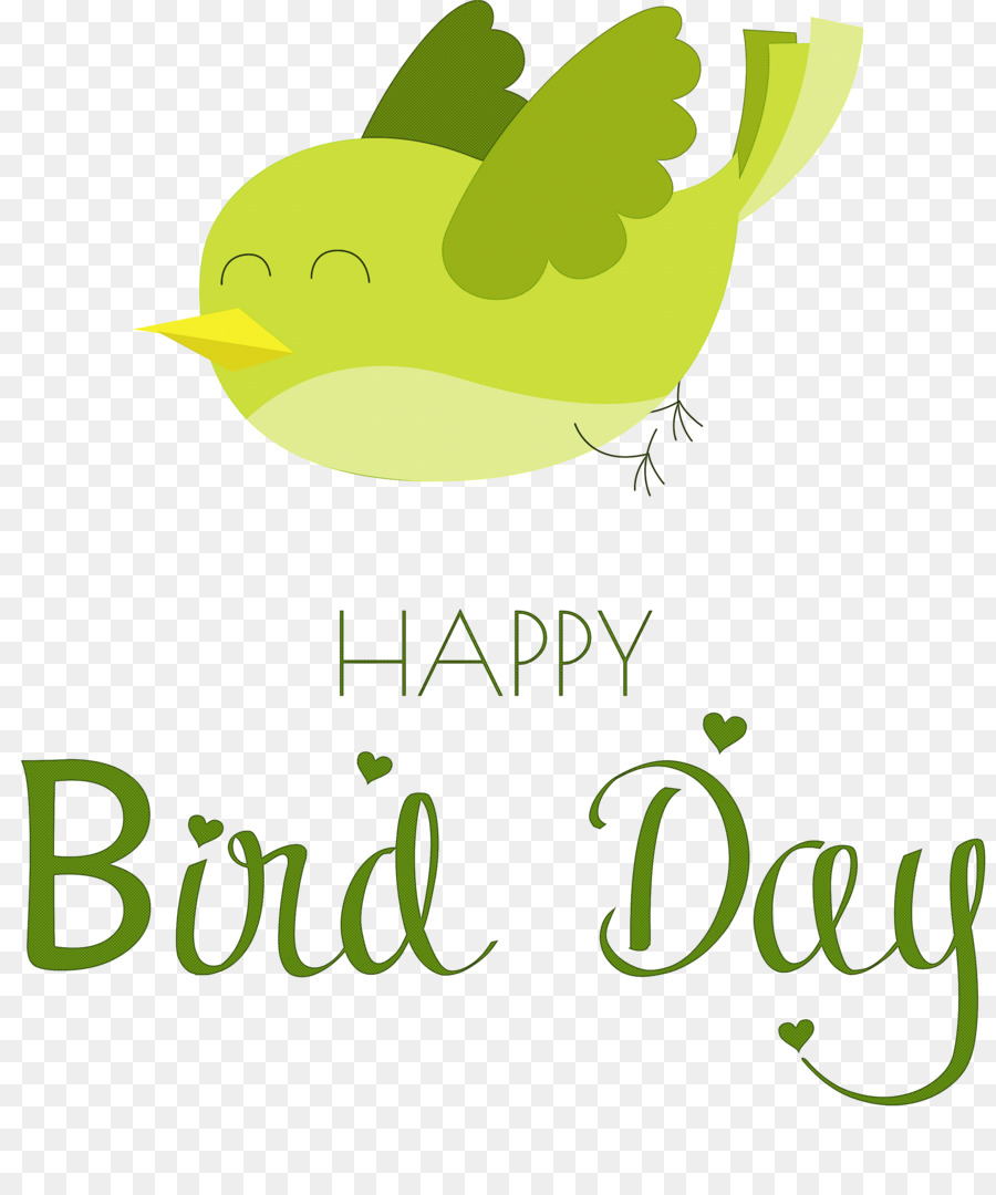 Ngày chim chúc mừng ngày chim quốc tế - 