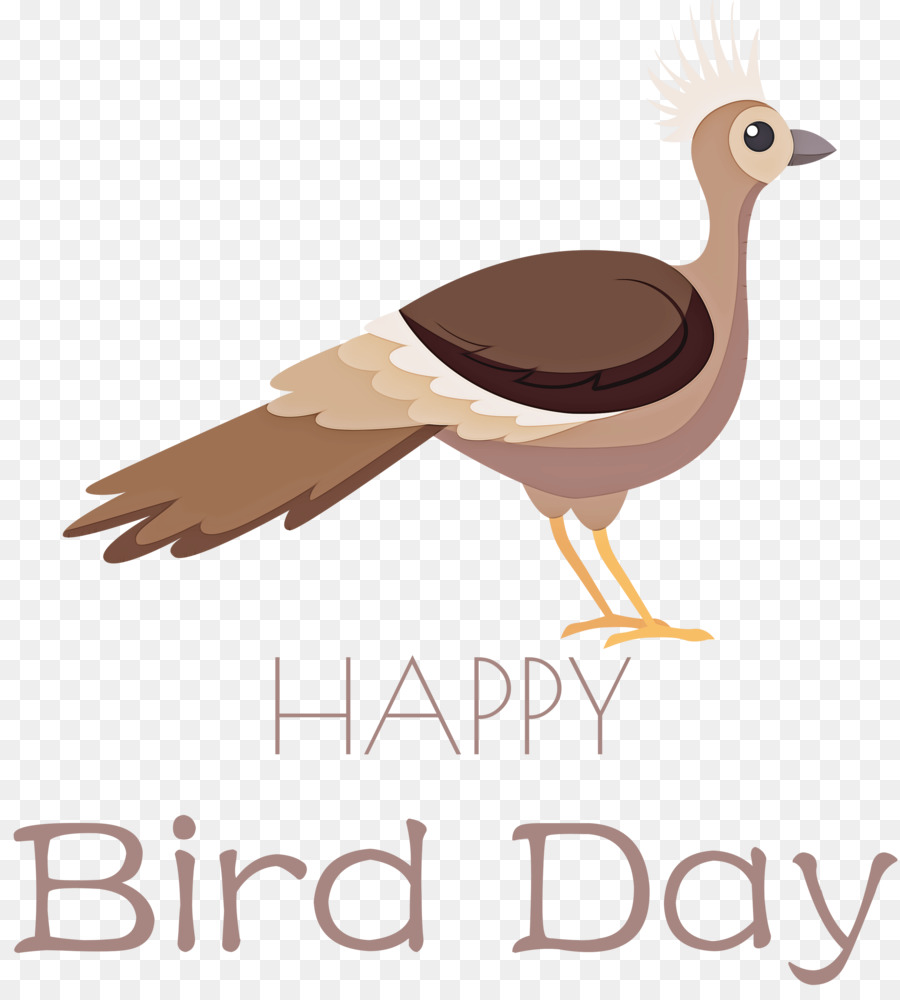 Ngày chim chúc mừng ngày chim quốc tế - 