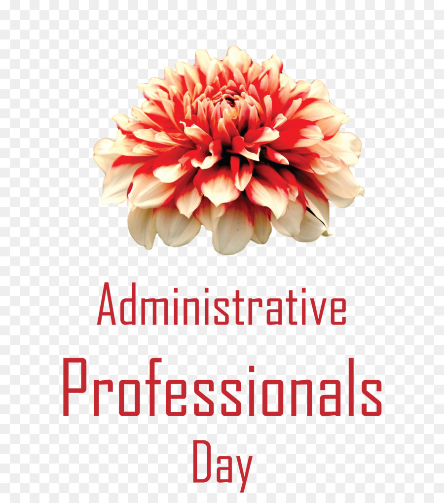 Administrative Professionals Day Secretaries Day Admin Day