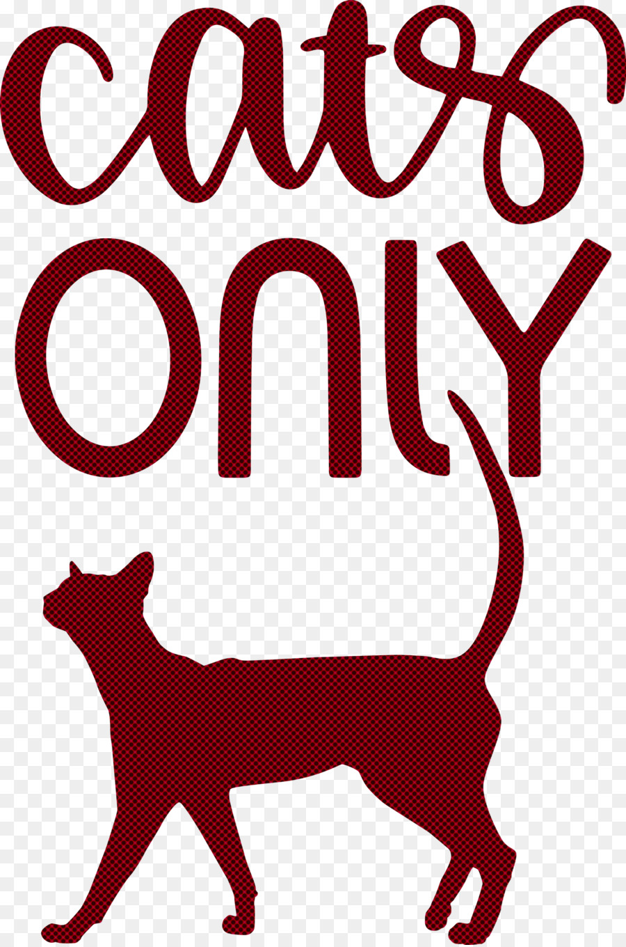 Cats Only Cat