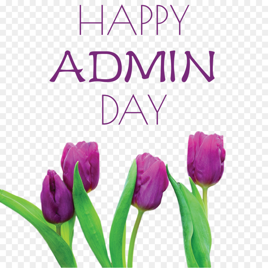 Admin Day Administrative Professionals Day Secretaries Day