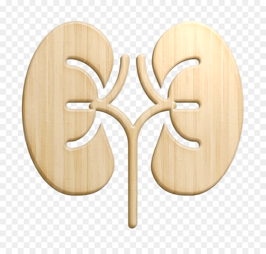 Kidney icon Medical icon