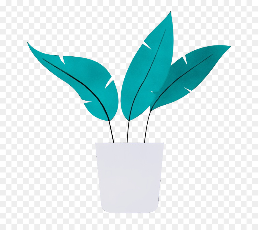 leaf flowerpot turquoise plant biology