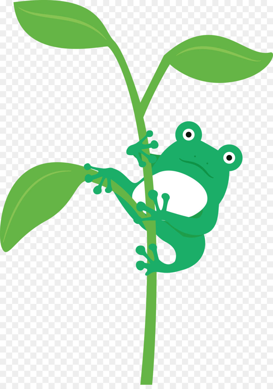 ếch cây lá ếch cây thân cây - 
