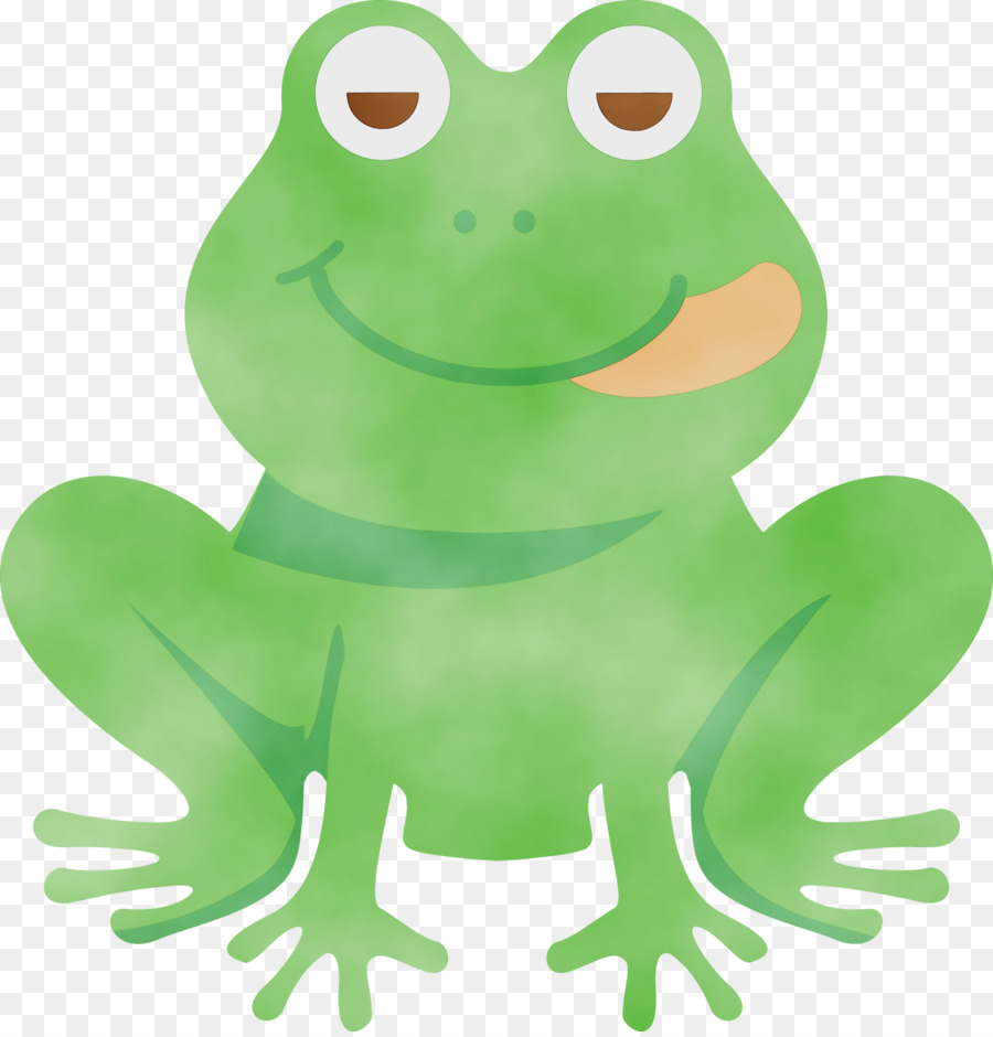 true frog frogs cartoon tree frog green
