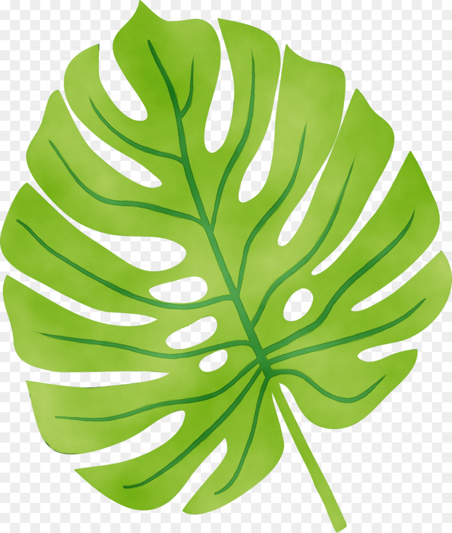 Blattpflanzenstamm-grüne Baumpflanze - 