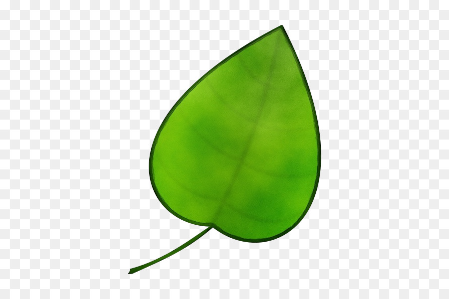 scienza di biologia della struttura della pianta verde della foglia - 