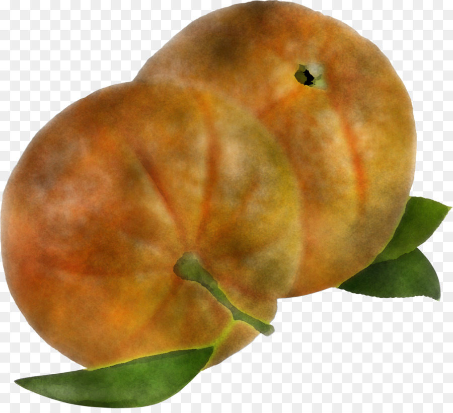Cucina vegetariana Peach Citrus Apple - 