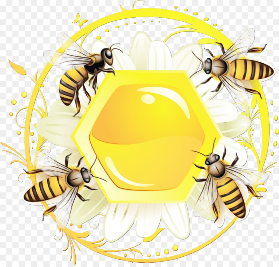 Insektenhornissen Pollinator Honig Bienenbienen - 