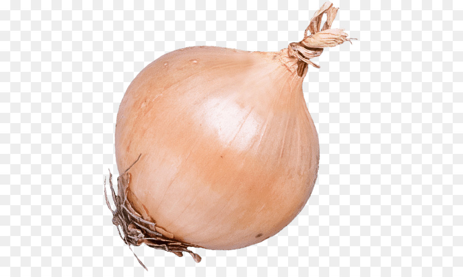 brown onion vegetable shallot ingredient genus
