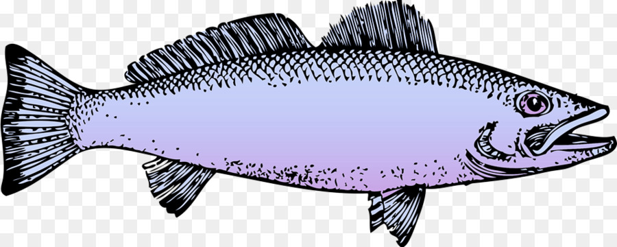 Pesce pesci grassa di latte di pesce barramundi - 