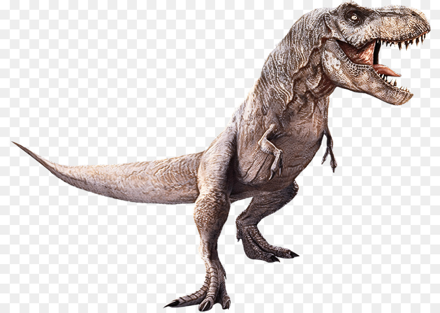 Tyrannosaurus Velociraptor Animal Figurine Biologia della figurina - 