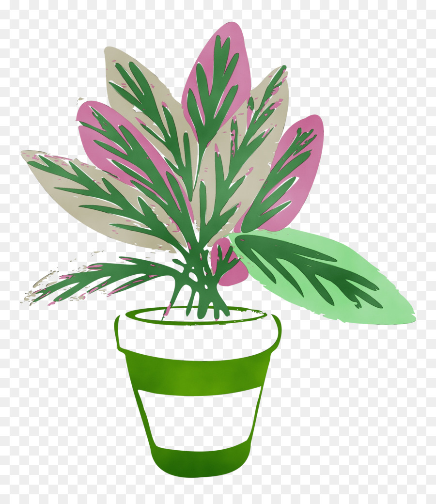 leaf flower flowerpot plant biology