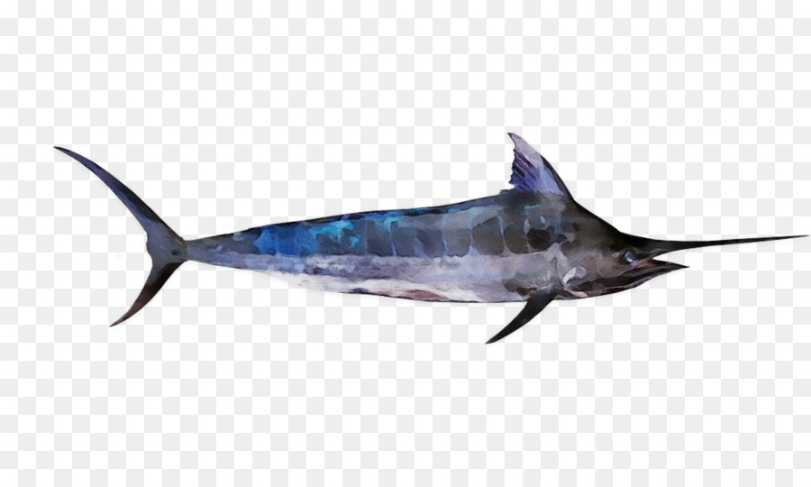 Bony Fishes Swordfish Sharks Delphin Fisch - 