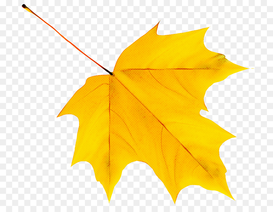 cartoon autumn leaf color silhouette autumn leaf