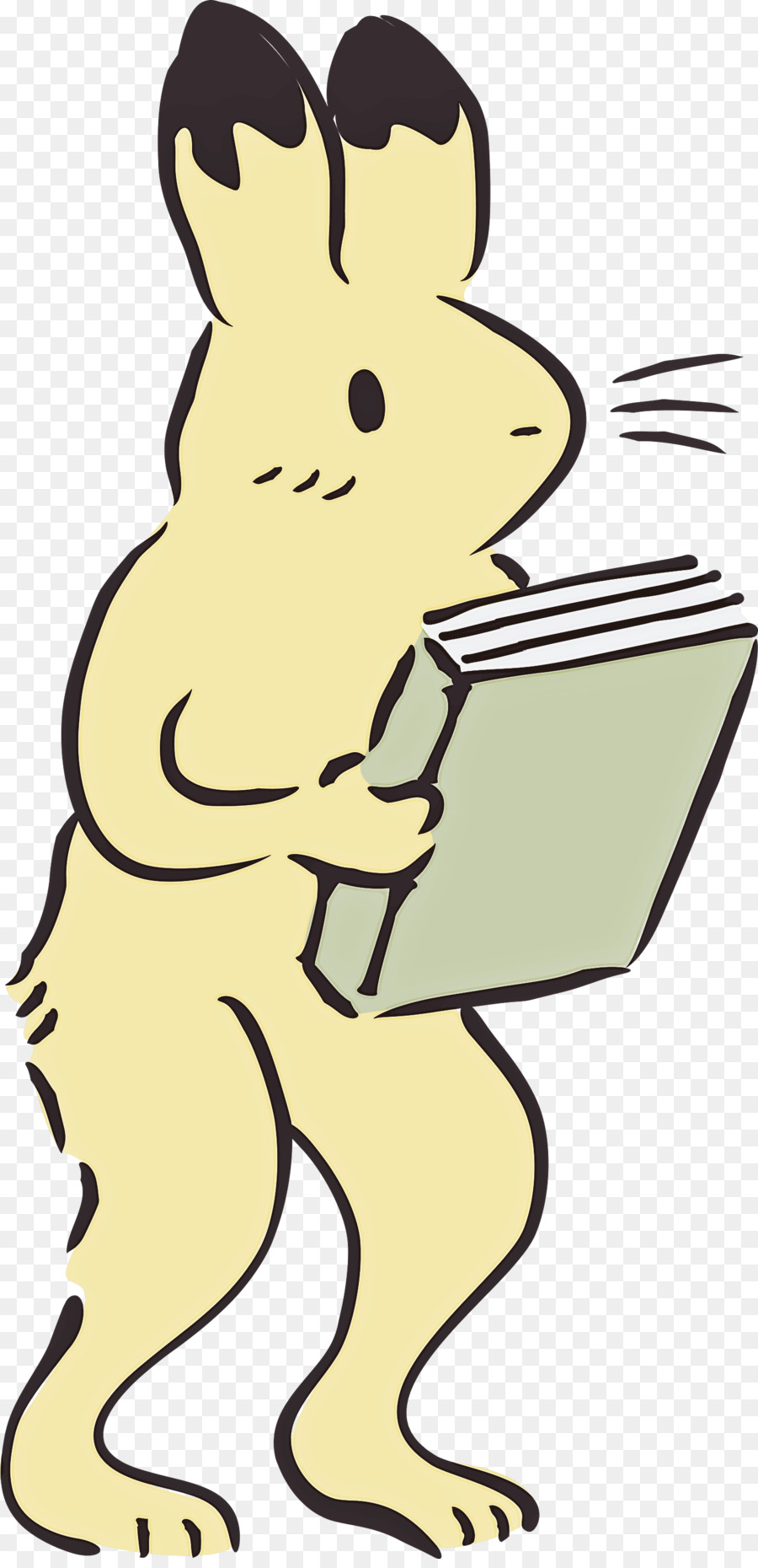 Reading Book Rabbit. - 