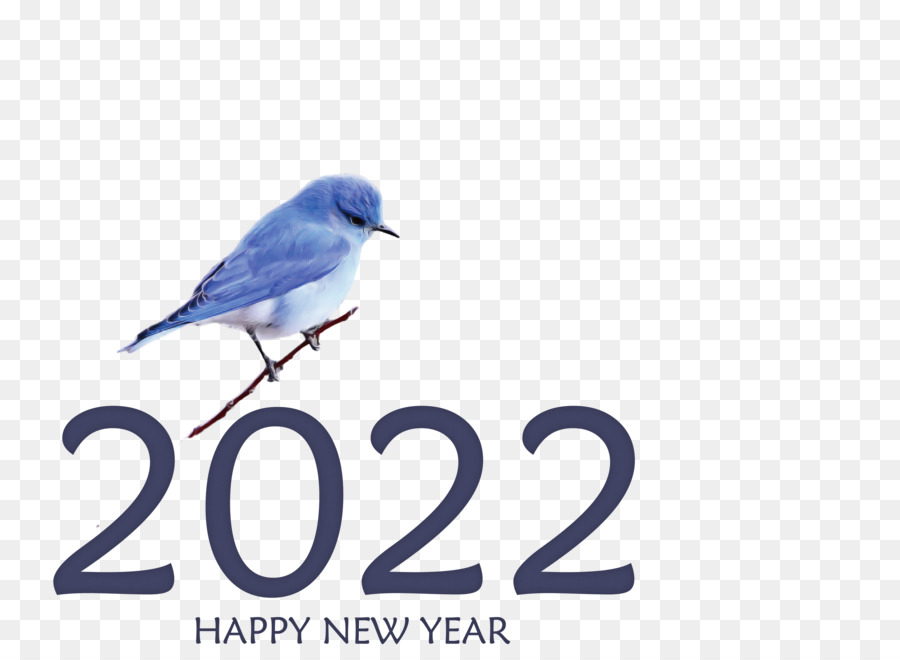 2022 Frohes Neues Jahr 2022 Neues Jahr 2022 - 