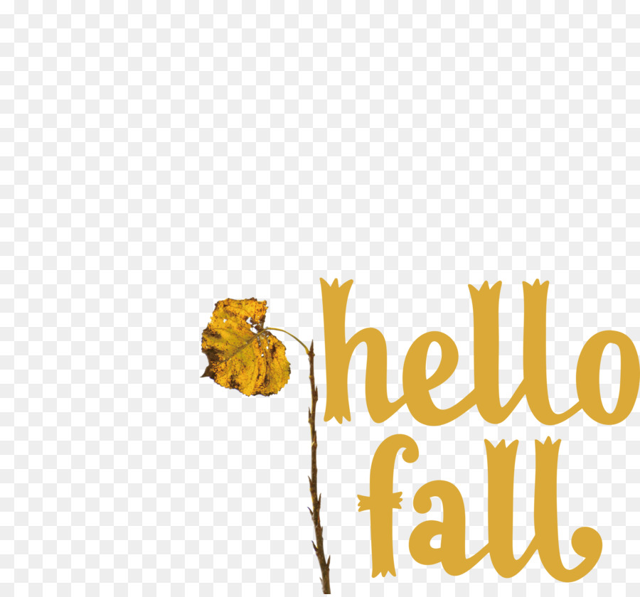 hello fall fall autumn