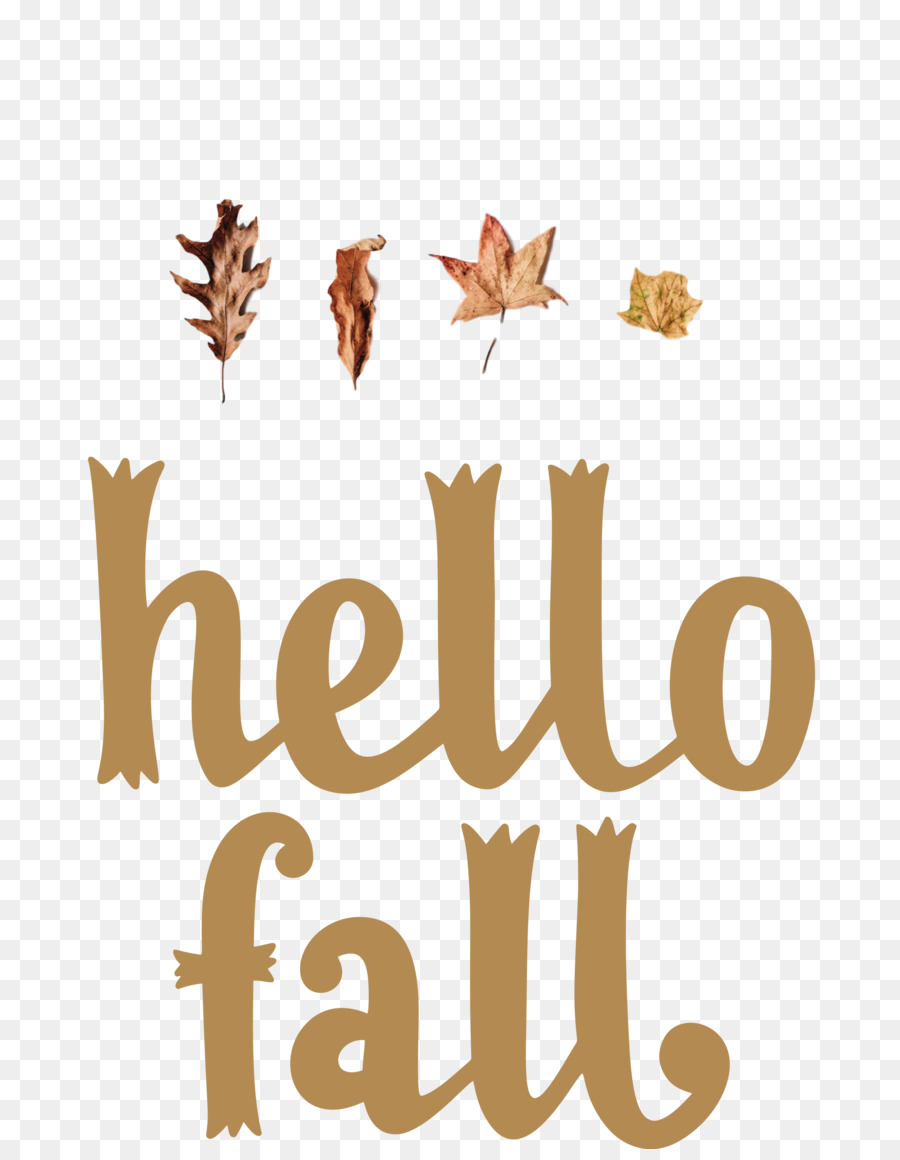 hello fall fall autumn