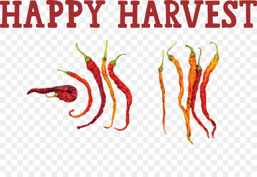 Happy Harvest Harvest Time - 