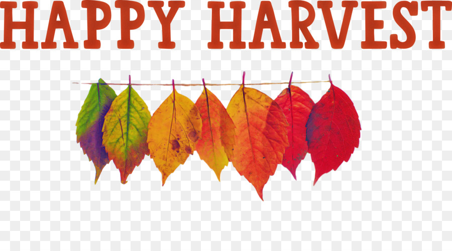 Happy Harvest Harvest Time - 