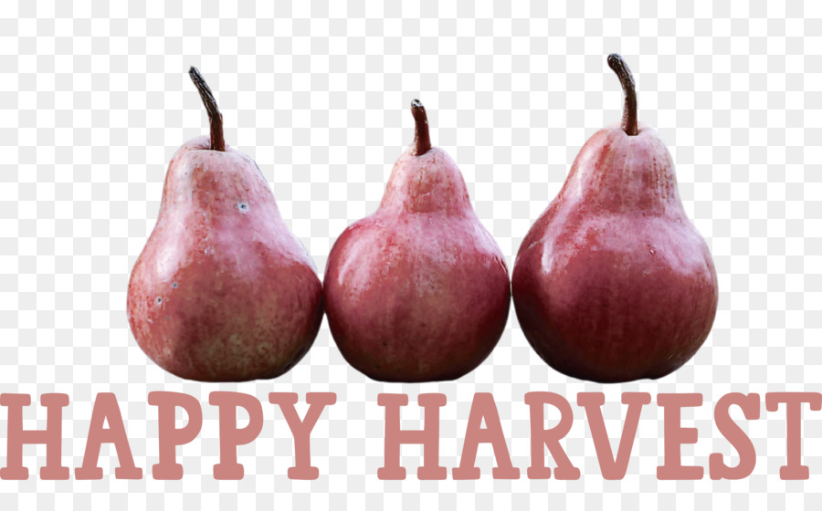Happy Harvest Harvest Time