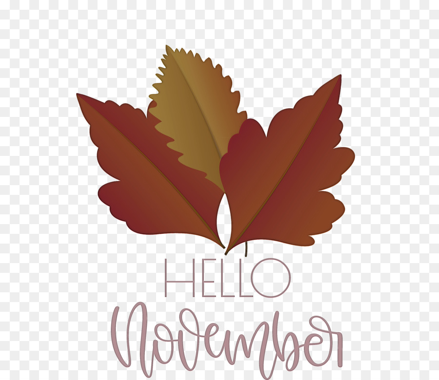 Hello November November