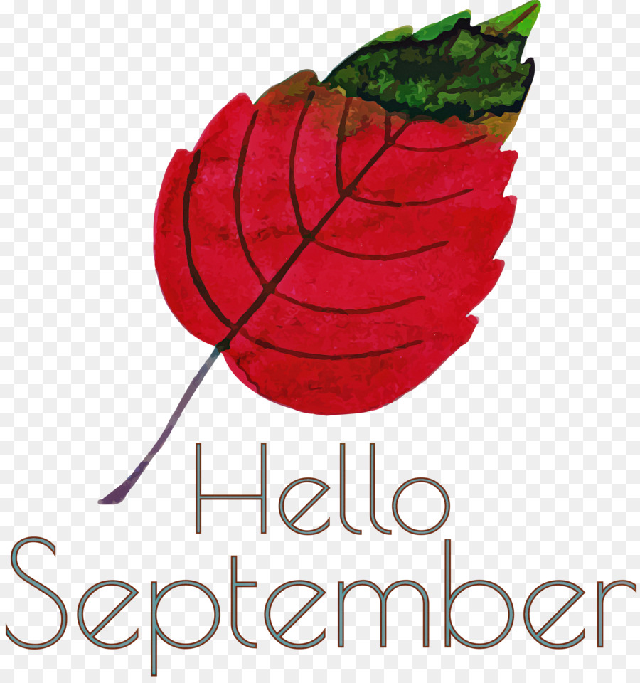 Hallo September September. - 