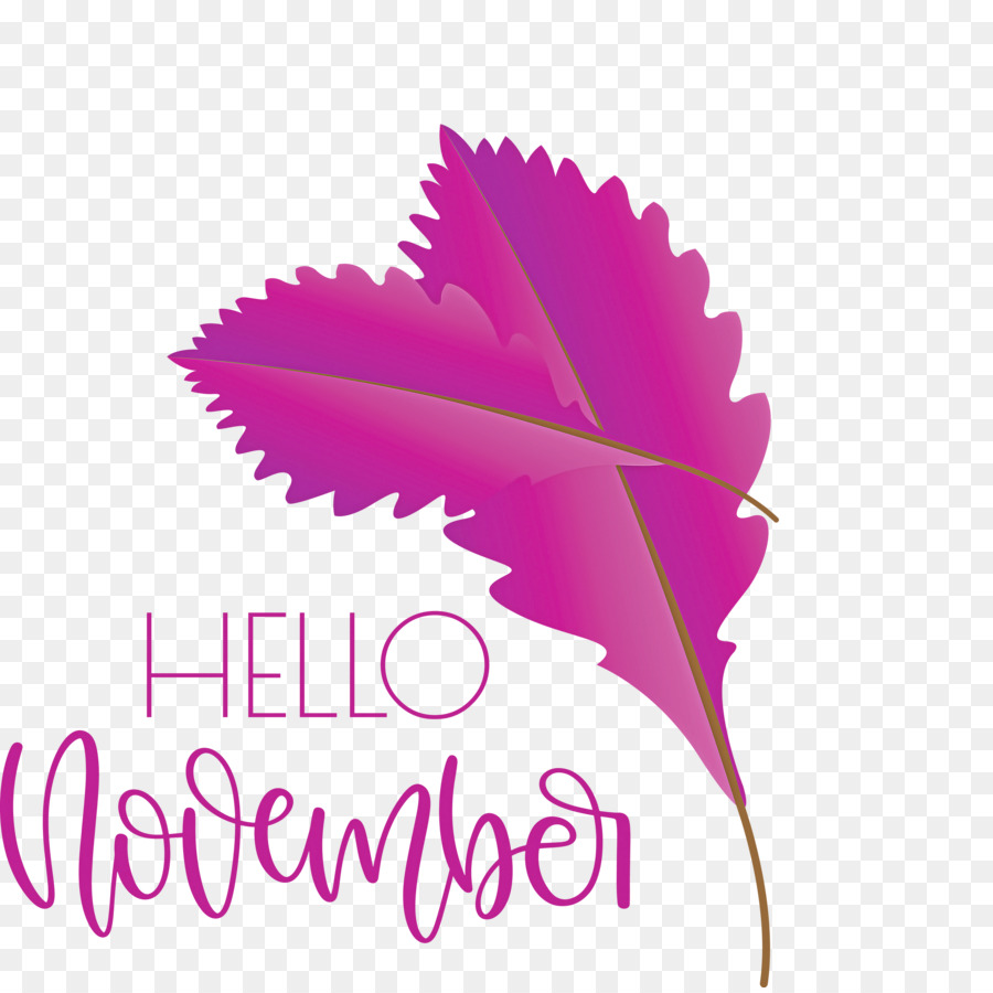 Hello November November