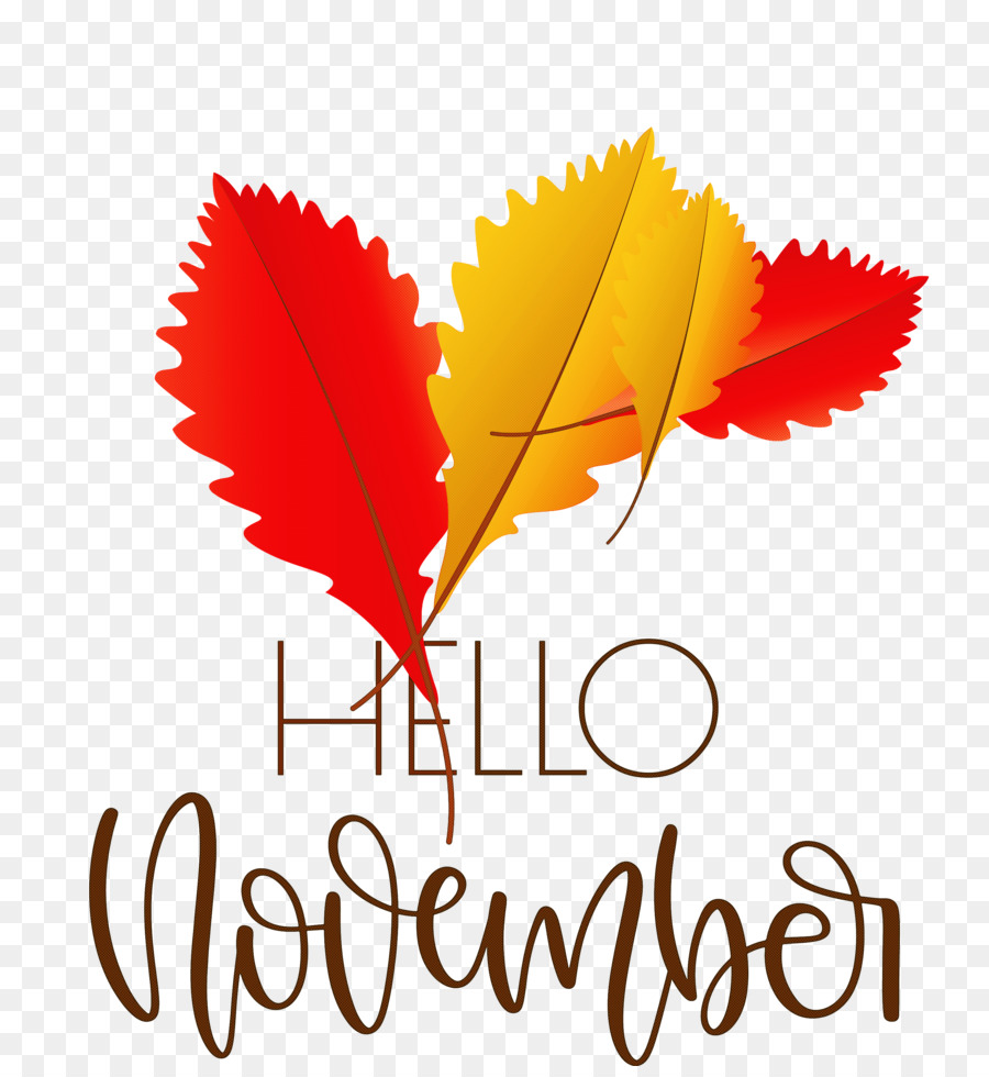 Hallo November November - 