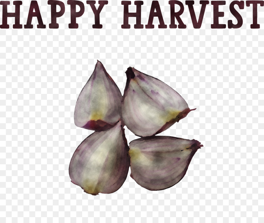 Happy Harvest Harvest Time