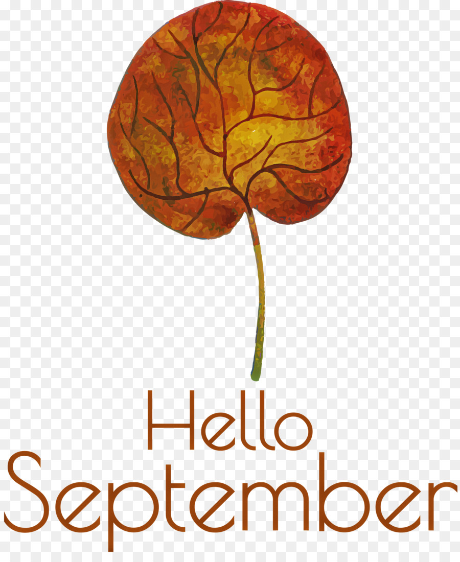 Hello September September