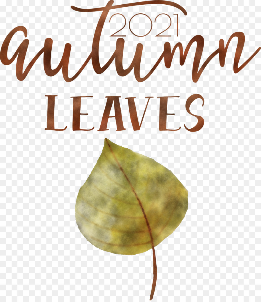 Autumn Leaves Autumn Fall