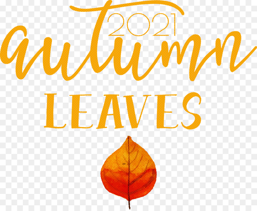 Autunno foglie autunno caduta - 