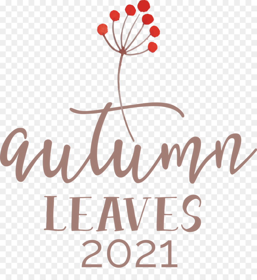 Autunno foglie autunno caduta - 