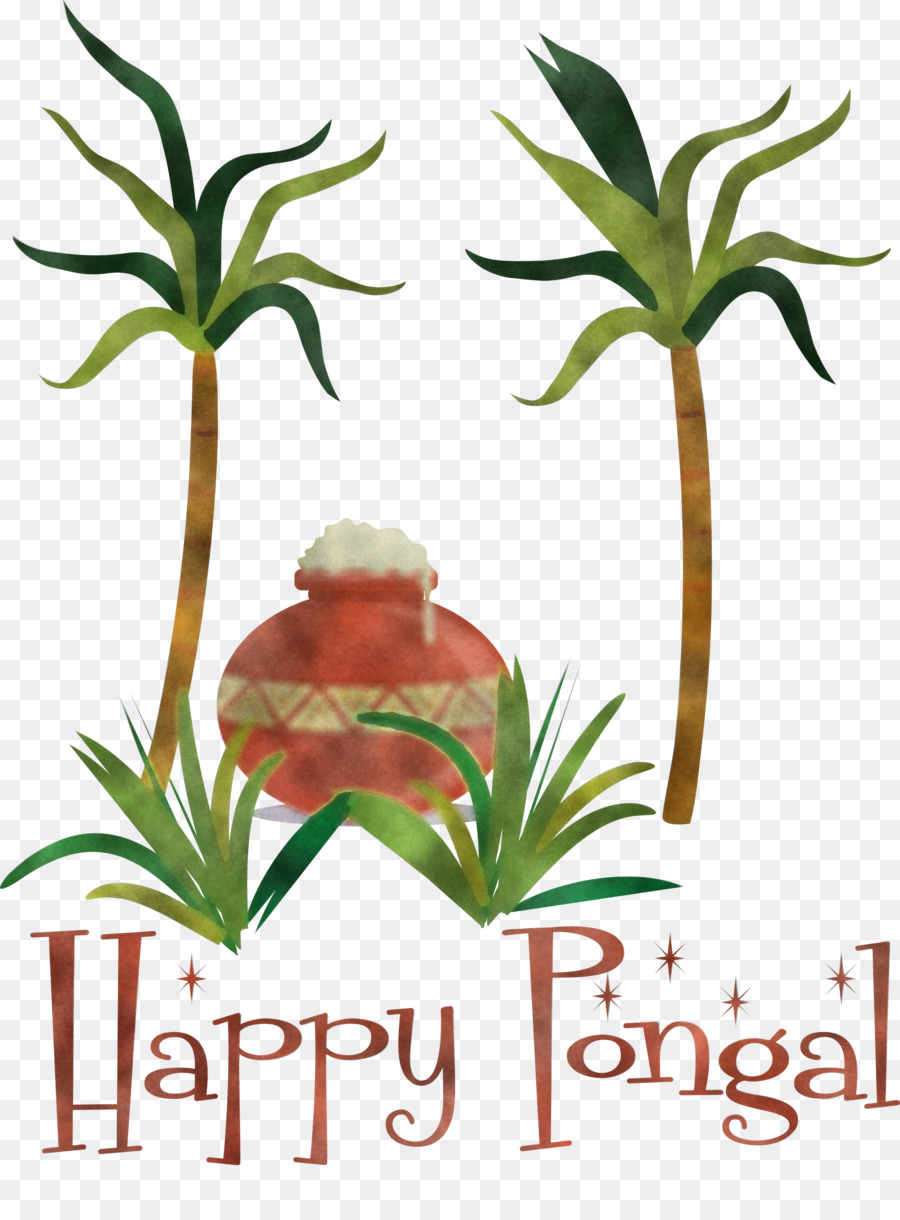 Pongal Thai Pongal Harvest Festival - 