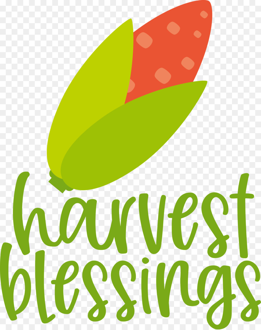 Thu hoạch mùa thu Lễ Tạ ơn - 