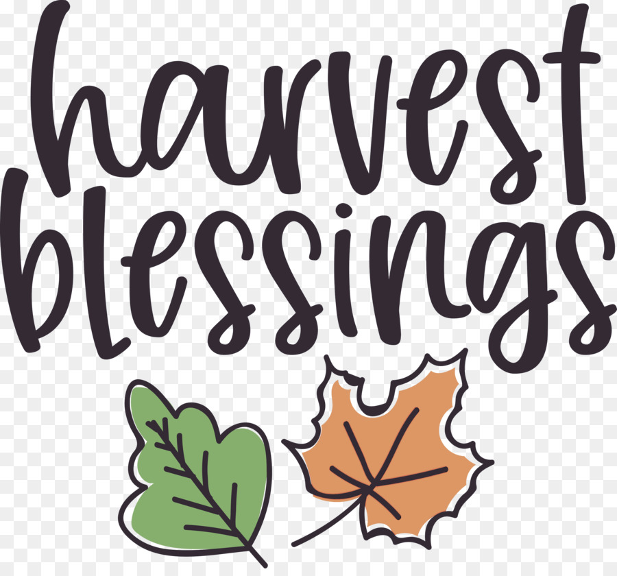Harvest Thanksgiving Autumn