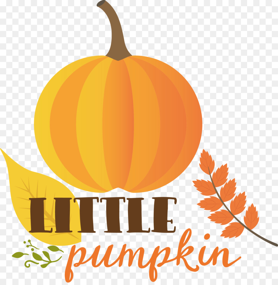 little pumpkin thanksgiving autumn