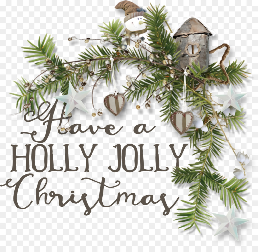 agrifoglio jolly christmas - 