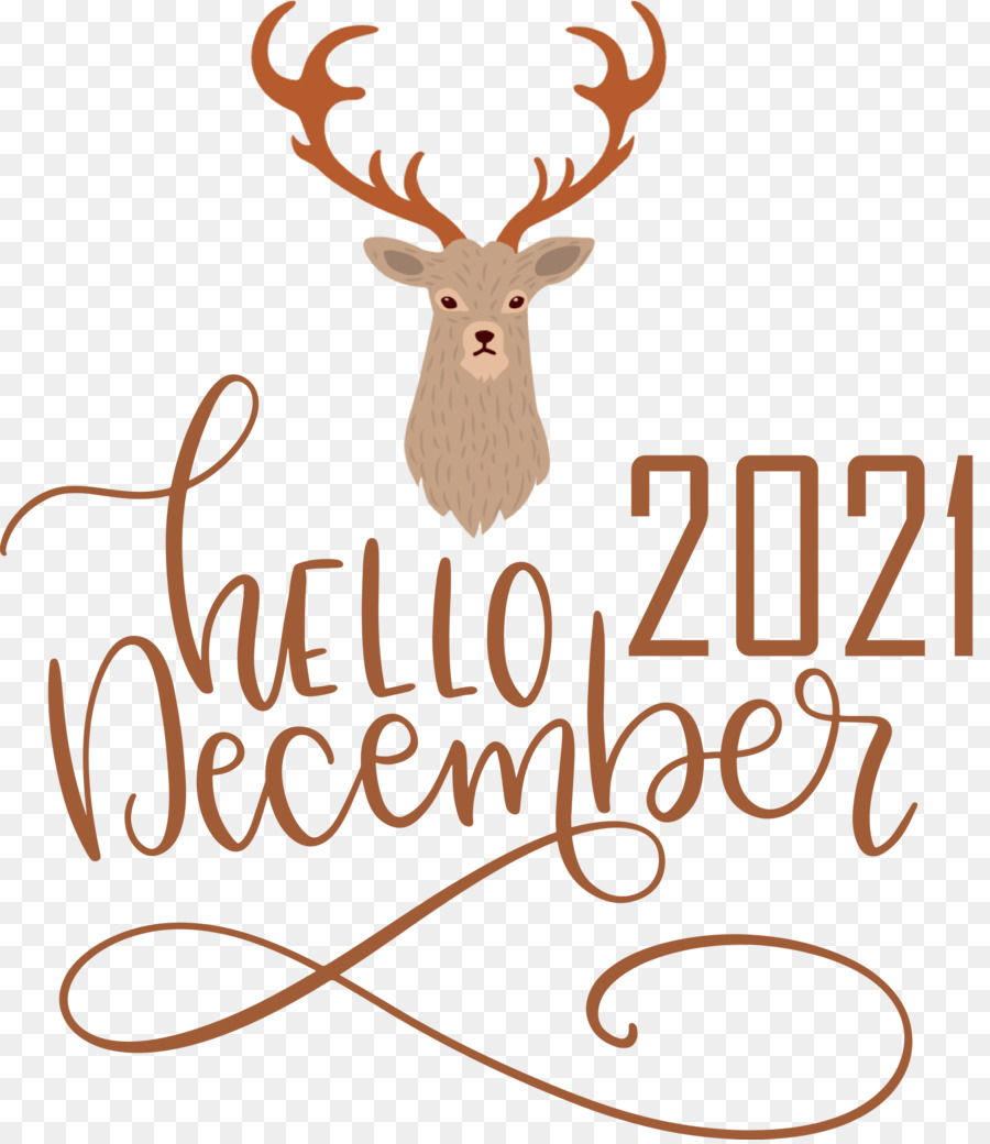 Hello December December Winter