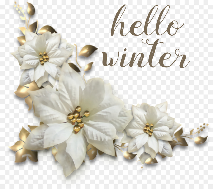 hello winter winter