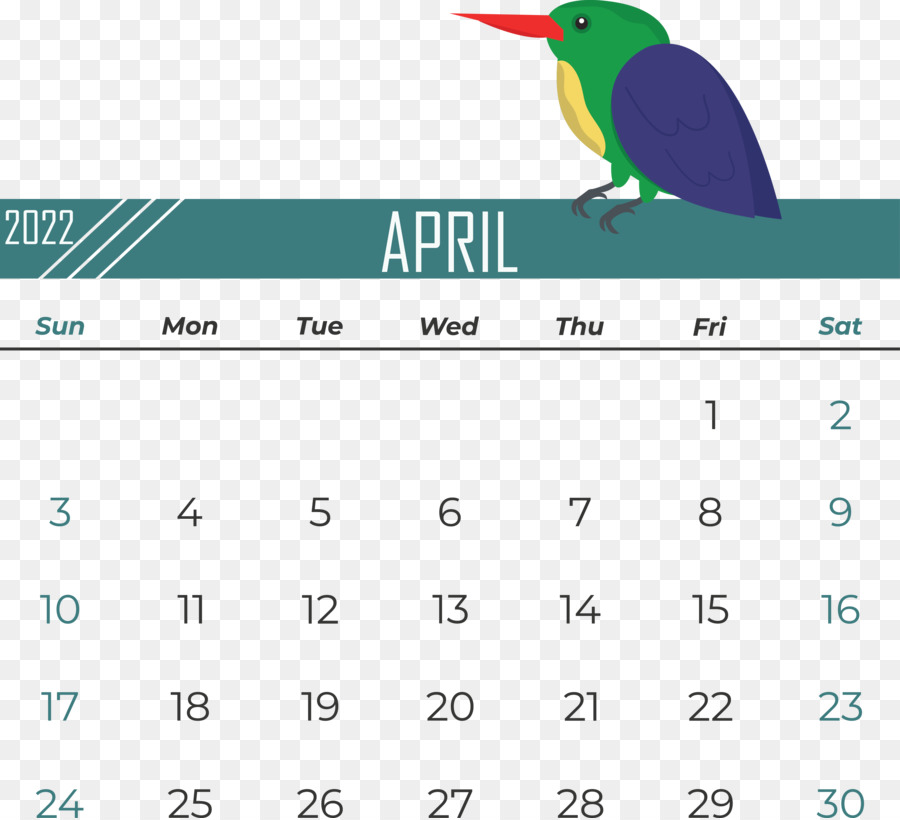birds logo font beak calendar