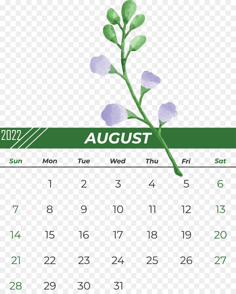leaf line font calendar green