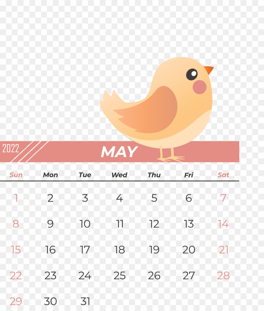 Birds Beak Calendar Meter Science - 